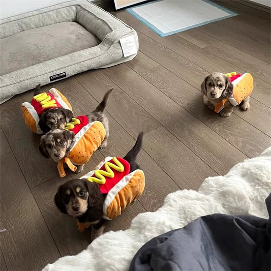 Hot Dog Pet Clothes