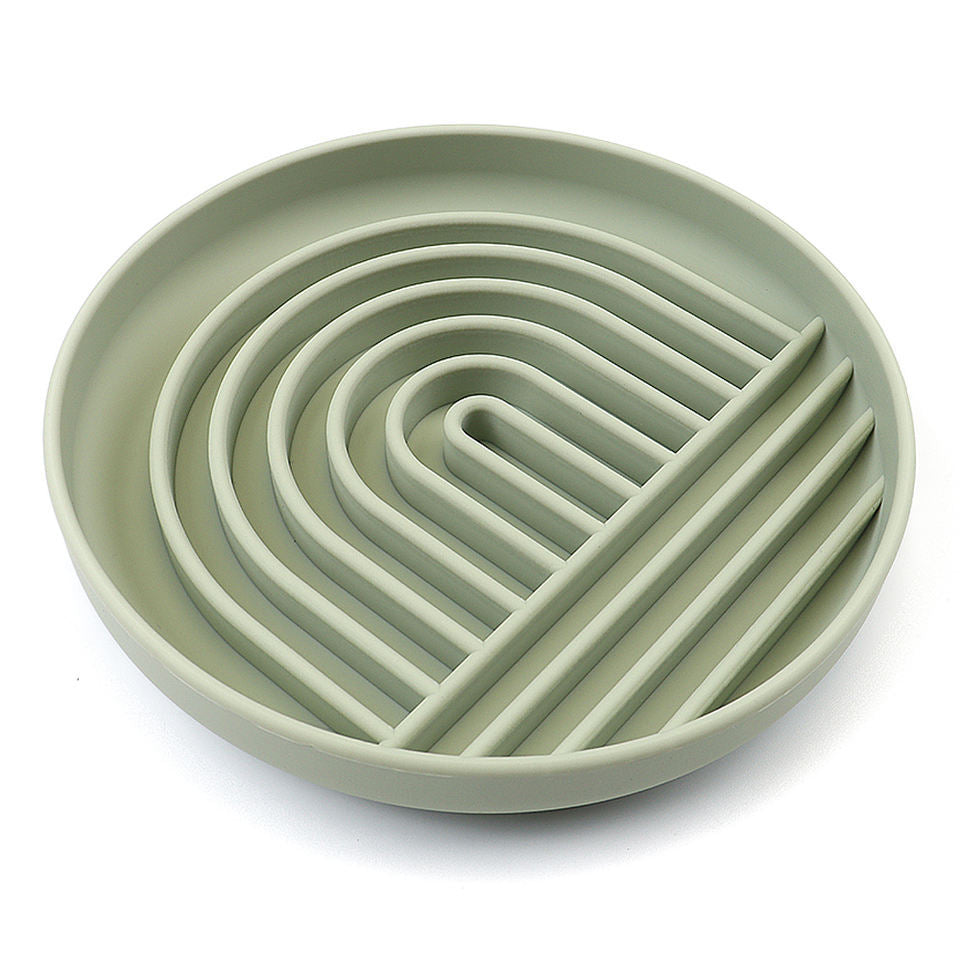 Slow Feeding Bowl