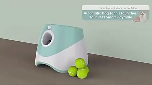 Pet Ball Throwing Machine